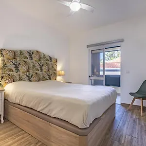 - The Historical Center Of In Local Apartment
